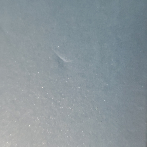 Bella & Rose Jewelry Set - Picture 6 of 7